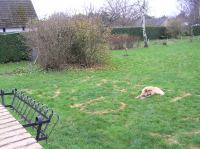 PB230132.JPG - 2006:11:23 12:30:20