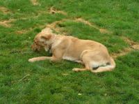 PB230133.JPG - 2006:11:23 12:33:03