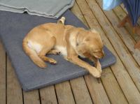 PB230134.JPG - 2006:11:23 12:35:29