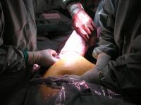 PC210041.JPG - 2006:12:21 12:29:51