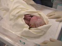 PC210051.JPG - 2006:12:21 12:32:26