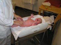 PC210065.JPG - 2006:12:21 13:34:18