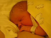 PC210083.JPG - 2006:12:21 19:21:10