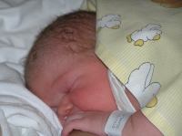 PC210087.JPG - 2006:12:21 19:21:40