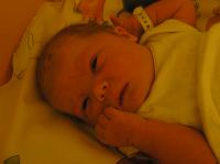 PC210092.JPG - 2006:12:21 19:34:16