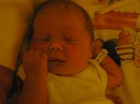 PC210093.JPG - 2006:12:21 19:34:25