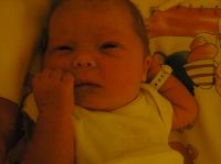 PC210094.JPG - 2006:12:21 19:34:36