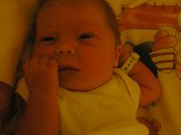 PC210095.JPG - 2006:12:21 19:34:37