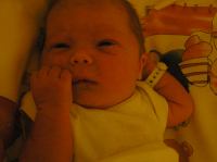 PC210096.JPG - 2006:12:21 19:34:37