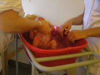 PC230144.JPG - 2006:12:23 12:11:48