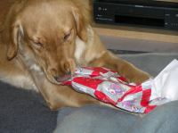 PC240169.JPG - 2006:12:24 13:41:23