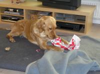 PC240171.JPG - 2006:12:24 13:41:37