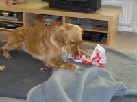 PC240172.JPG - 2006:12:24 13:41:40