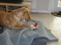 PC240173.JPG - 2006:12:24 13:42:47