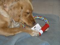 PC240174.JPG - 2006:12:24 13:42:52