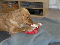 PC240177.JPG - 2006:12:24 13:47:19