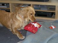 PC240178.JPG - 2006:12:24 13:47:31