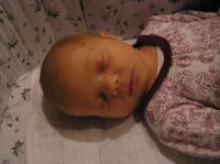 PC310001.JPG - 2006:12:31 20:52:00