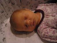 PC310002.JPG - 2006:12:31 20:52:01