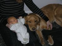 P1030011.JPG - 2007:01:03 19:48:22