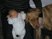 P1030015.JPG - 2007:01:03 19:49:04