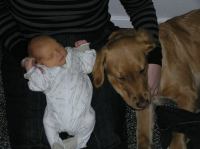 P1030016.JPG - 2007:01:03 19:49:09