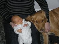 P1030017.JPG - 2007:01:03 19:49:19