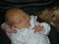 P1030018.JPG - 2007:01:03 19:49:27