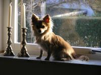 P1070027.JPG - 2007:01:07 14:49:14