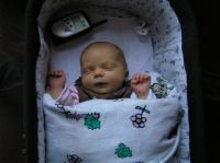 P1070038.JPG - 2007:01:07 16:30:20