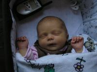 P1070039.JPG - 2007:01:07 16:30:30