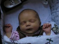 P1070040.JPG - 2007:01:07 16:30:36