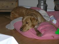 P1070056.JPG - 2007:01:07 19:35:07