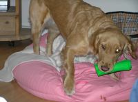 P1070058.JPG - 2007:01:07 19:35:19