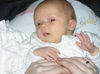 P1170002.JPG - 2007:01:17 23:10:29