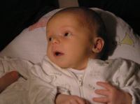 P1170004.JPG - 2007:01:17 23:10:45