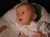 P1170005.JPG - 2007:01:17 23:10:46