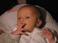 P1170006.JPG - 2007:01:17 23:10:54