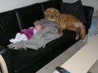 P1310047.JPG - 2007:01:31 12:48:39