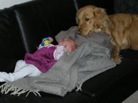 P1310048.JPG - 2007:01:31 12:48:46