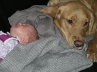 P1310049.JPG - 2007:01:31 12:48:55