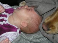 P1310050.JPG - 2007:01:31 12:49:05