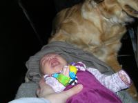 P1310052.JPG - 2007:01:31 12:53:41