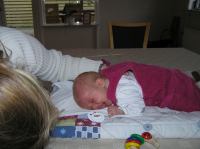 P2040105.JPG - 2007:02:04 17:17:11