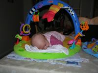 P2090123.JPG - 2007:02:09 18:28:12