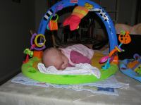 P2090124.JPG - 2007:02:09 18:28:18