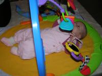 P2090128.JPG - 2007:02:09 18:32:37