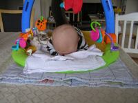 P2190062.JPG - 2007:02:19 11:39:30