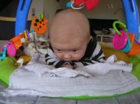 P2190063.JPG - 2007:02:19 11:39:38