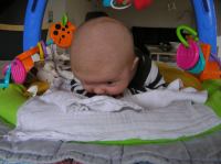 P2190064.JPG - 2007:02:19 11:39:43